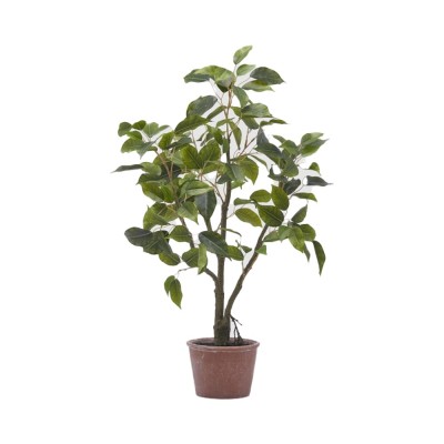 Pianta Artificiale Ficus H60 cm con Vaso - Enzo De...