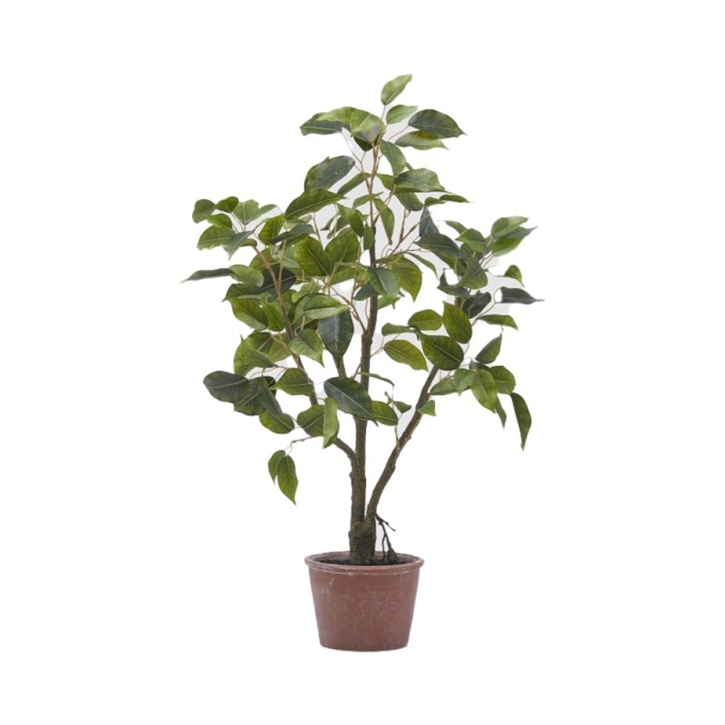 Pianta Artificiale Ficus H60 cm con Vaso - Enzo De Gasperi (EDG)