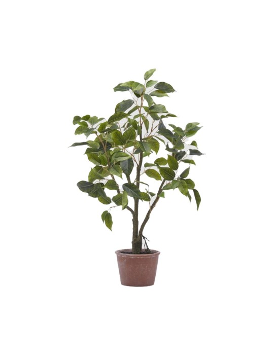 Pianta Artificiale Ficus H60 cm con Vaso - Enzo De Gasperi (EDG)