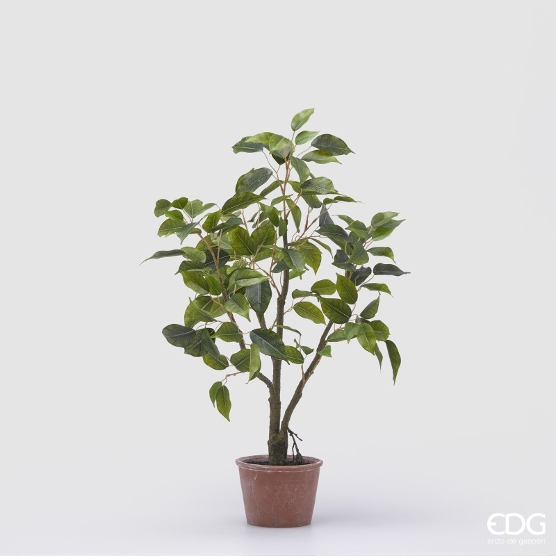 Pianta Artificiale Ficus H60 cm con Vaso - Enzo...