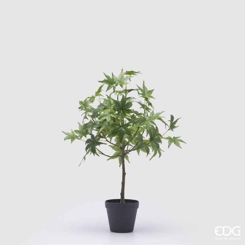 Pianta Artificiale Acero con Vaso H56 cm – EDG...