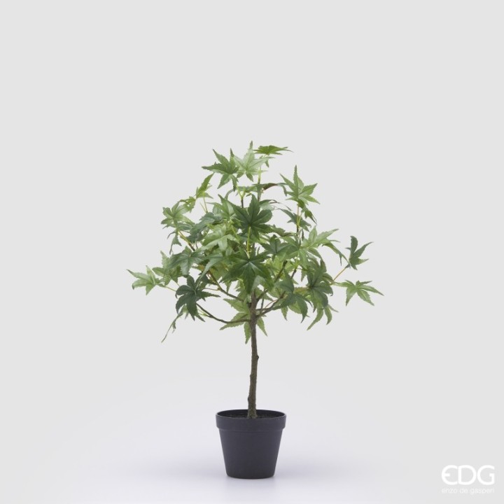 EDG Enzo De Gasperi Acero artificiale con vaso alto 56 cm