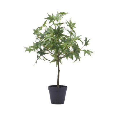 Pianta Artificiale Acero con Vaso H56 cm – EDG Enzo De...