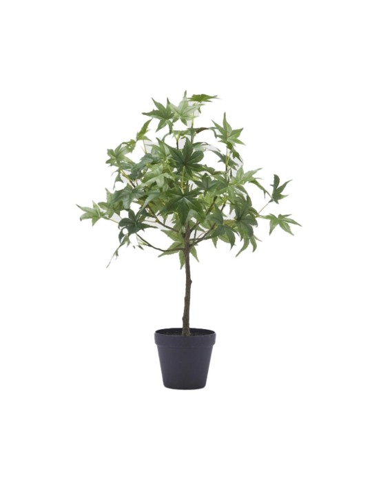 Pianta Artificiale Acero con Vaso H56 cm – EDG Enzo De Gasperi
