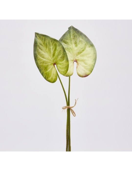 Set 2 Pezzi Pianta Artificiale Singonium Rex H52 cm – EDG Enzo De Gasperi