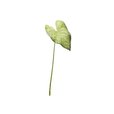 Pianta Artificiale Singonium Rex Foglia Piccolo H45 cm –...