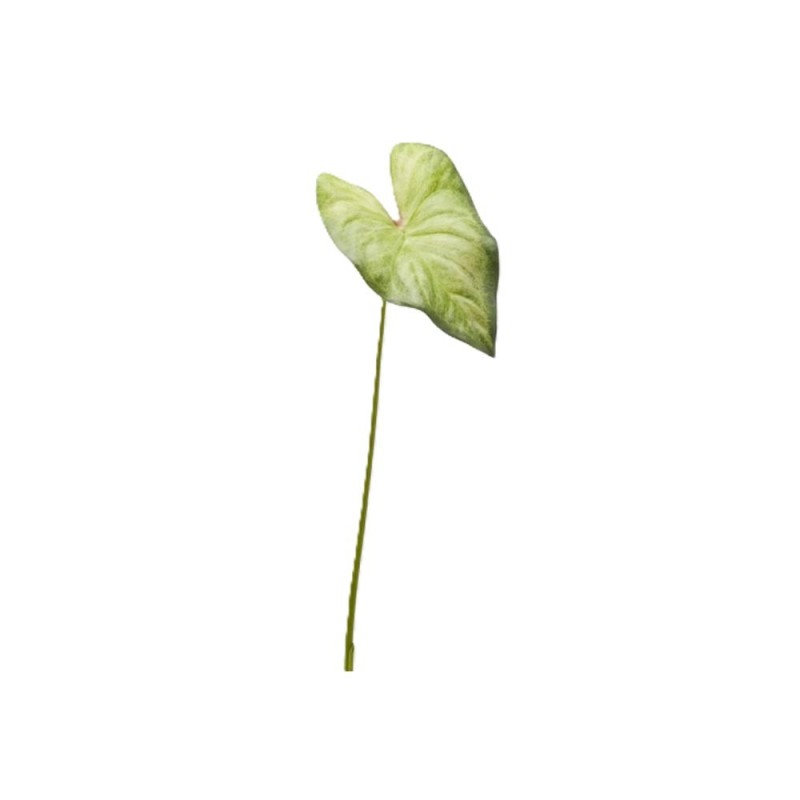 Pianta Artificiale Singonium Rex Foglia Piccolo H45 cm – EDG Enzo De Gasperi