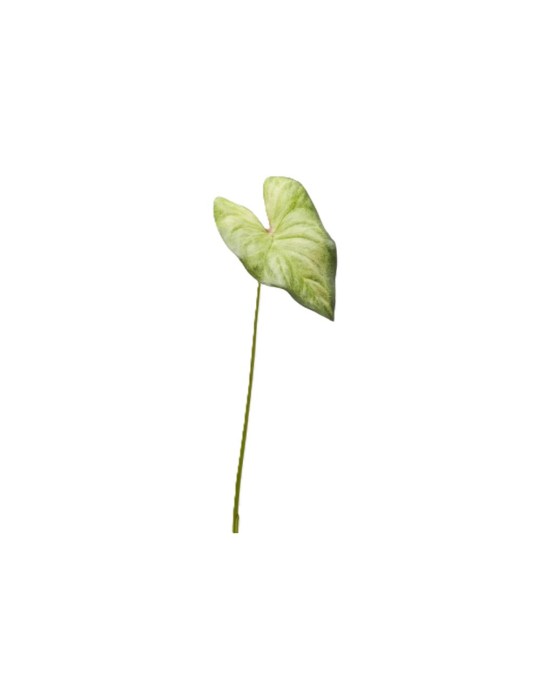 Pianta Artificiale Singonium Rex Foglia Piccolo H45 cm – EDG Enzo De Gasperi