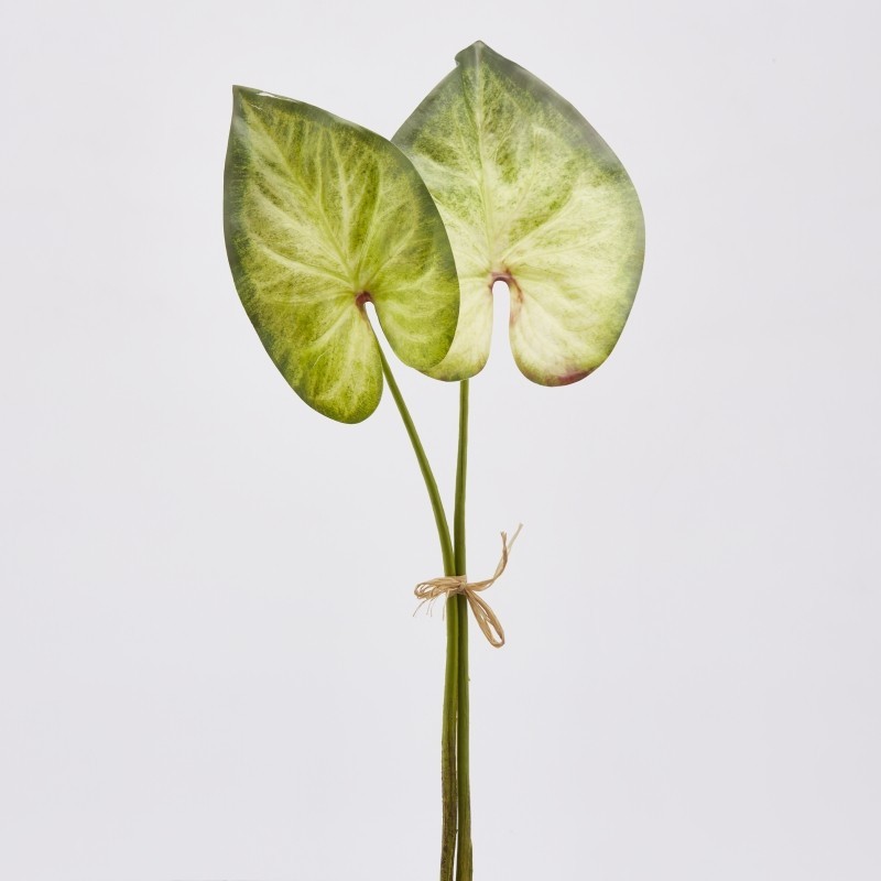 Pianta Artificiale Singonium Rex Foglia Piccolo...