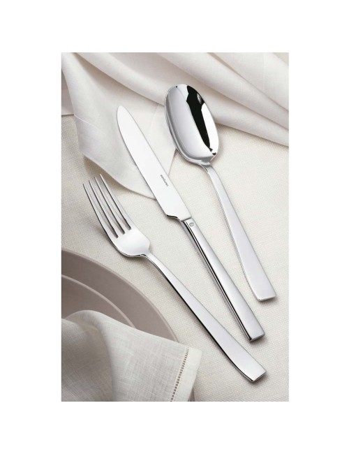 Servizio 36 Pezzi Flat Inox