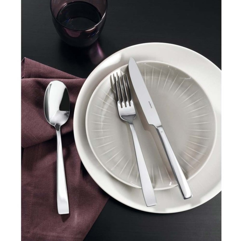 Servizio 36 Pezzi Flat Inox