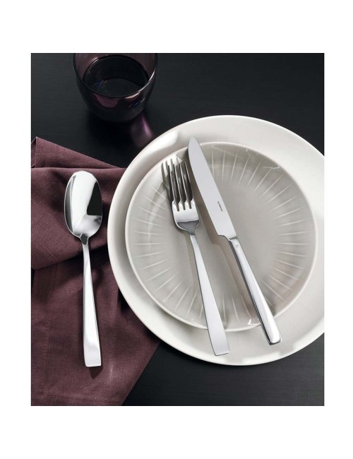 Servizio 36 Pezzi Flat Inox