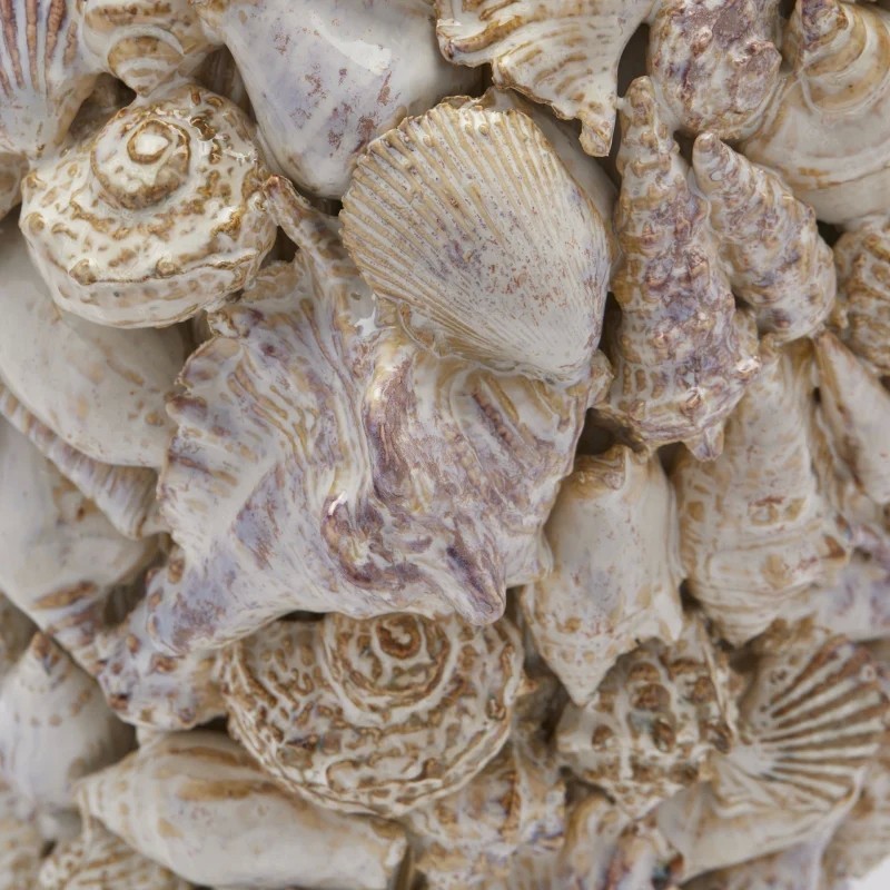 Vaso Freaky Conchiglie Bombato D.28 – EDG