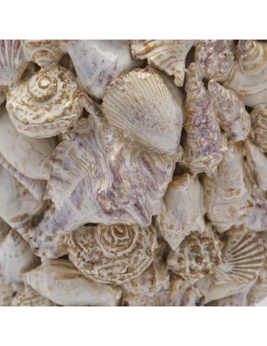 Vaso Freaky Conchiglie Bombato D.28 – EDG