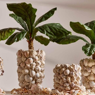 Vaso Freaky Conchiglie Bombato D.28 – EDG 2