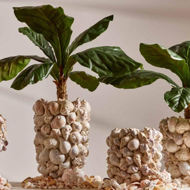 Vaso Freaky Conchiglie Bombato D.28 – EDG