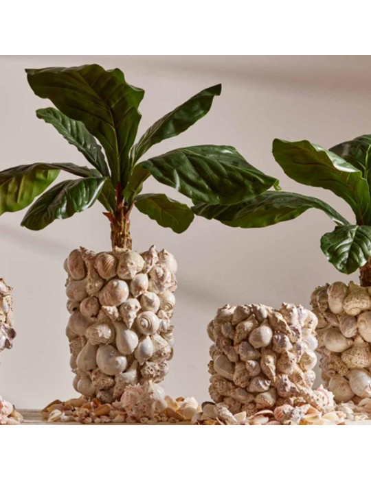 Vaso Freaky Conchiglie Bombato D.28 – EDG