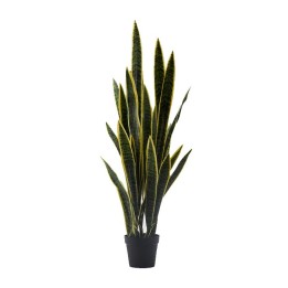EDG Sansevieria West artificiale con vaso alta 140 cm