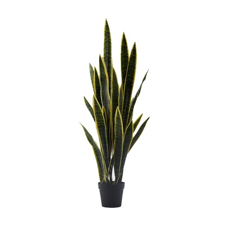 EDG Sansevieria West artificiale con vaso alta 140 cm