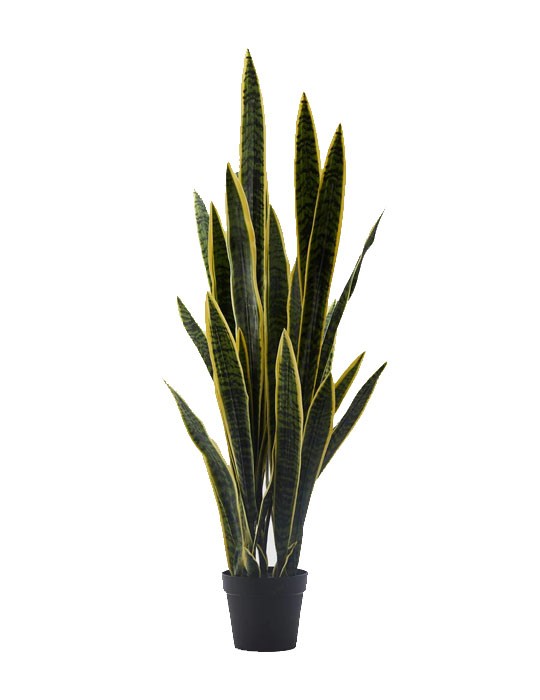 Pianta Artificiale Sanseveria West H105 cm con Vaso Integrato - Enzo De Gasperi (EDG)