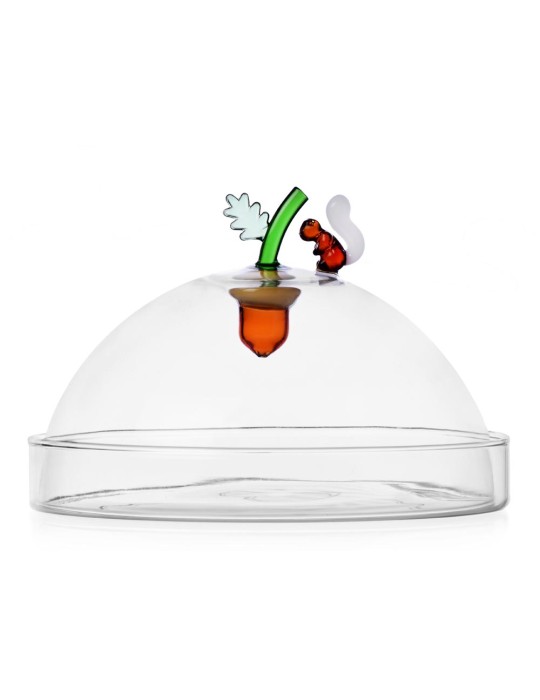 ACORNS CUPOLA C/PIATTO GHIANDA
