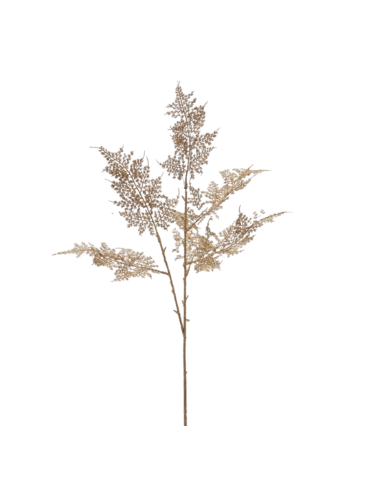 EDG Enzo De Gasperi Decorazione Natale Ramo Asparagus H 80 Cm Gold