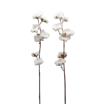 COTONE FURRY RAMO X5