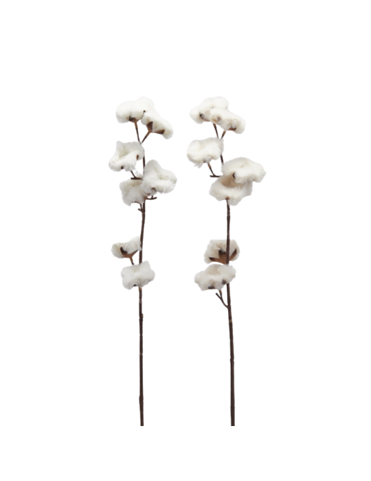 COTONE FURRY RAMO X5