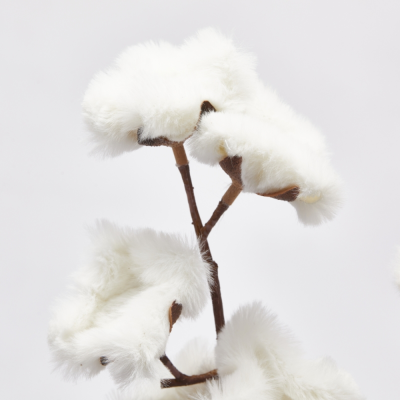 COTONE FURRY RAMO X5  2