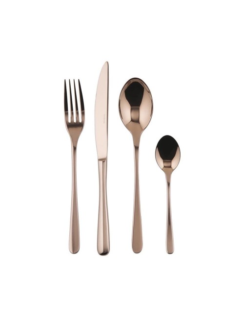 SET 24 POSATE TASTE PVD RAME