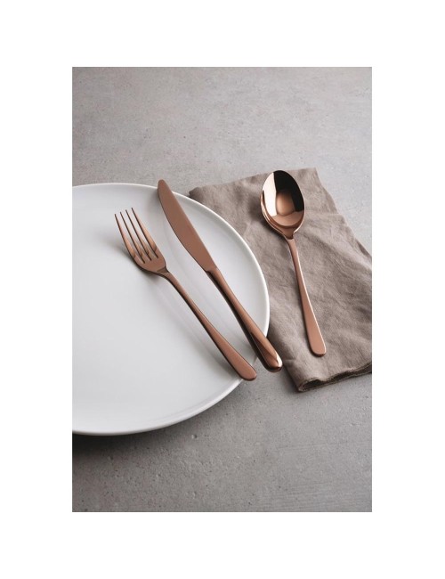 SET 24 POSATE TASTE PVD RAME
