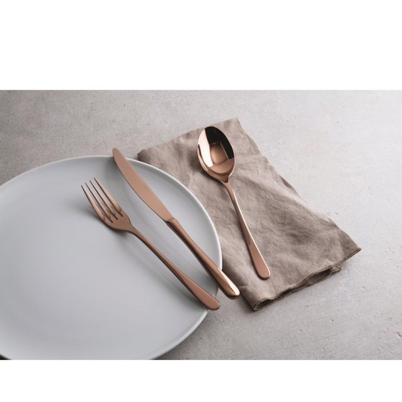 SET 24 POSATE TASTE PVD RAME