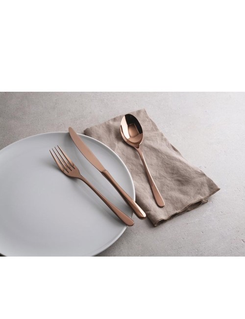 SET 24 POSATE TASTE PVD RAME