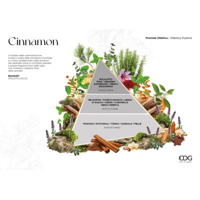 Profumatore d'Ambiente Bottiglia Joyful Cinnamon EDG - 210ml 2