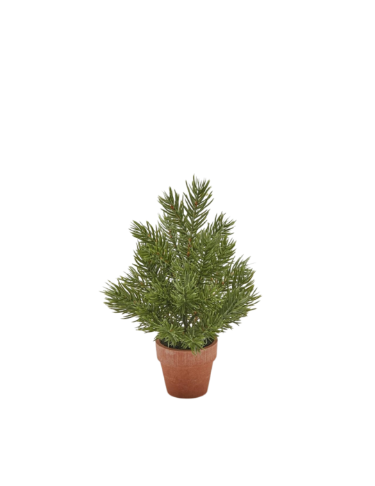 Enzo De Gasperi Pino West Artificiale H23 cm con Vaso in Carta