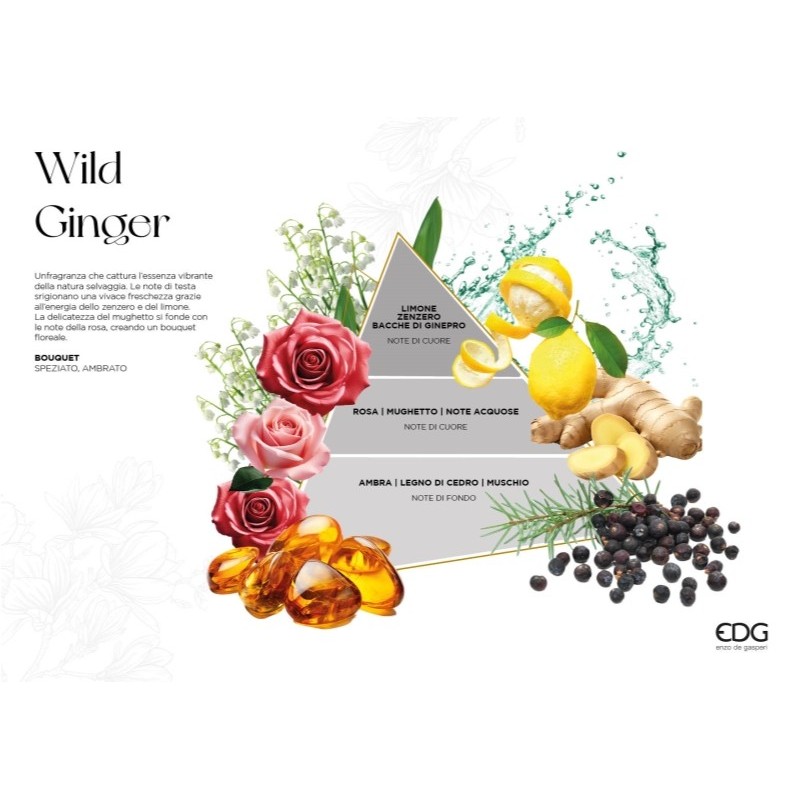 Candela Profumata Classic Wild Ginger EDG -...