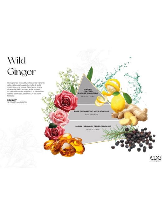 Candela Profumata Classic Wild Ginger EDG -...