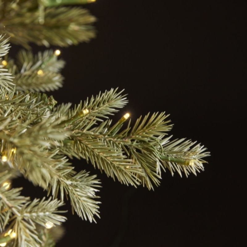 PINO ARGENTATO 8500MINILED H.300 D.192