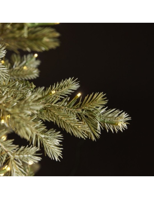 PINO ARGENTATO 8500MINILED H.300 D.192