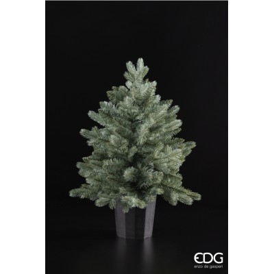 PINO ARGENTATO C/VASO H60 2
