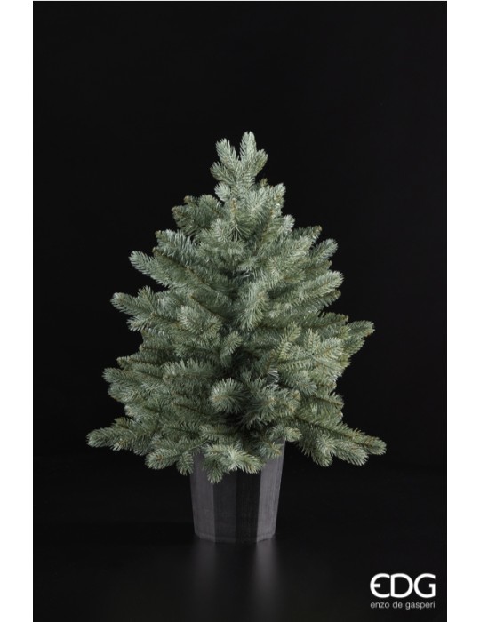 PINO ARGENTATO C/VASO H60