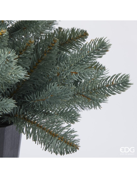 PINO ARGENTATO C/VASO H60