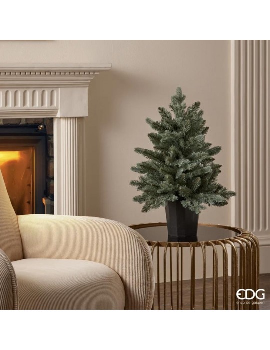 PINO ARGENTATO C/VASO H60