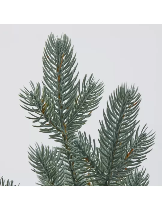 PINO ARGENTATO C/VASO H45