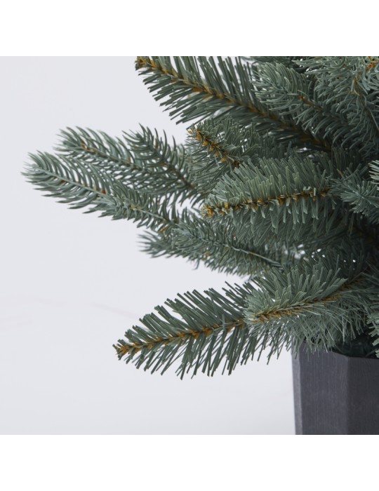 PINO ARGENTATO C/VASO H45