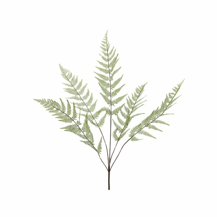 EDG Felce artificiale a cespuglio verde chiaro 97 cm