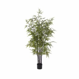 EDG Enzo De Gasperi Bambù artificiale con vaso alto 150 cm