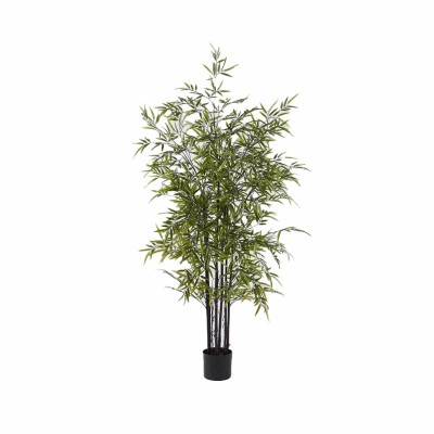 BAMBOO CON VASO H.150