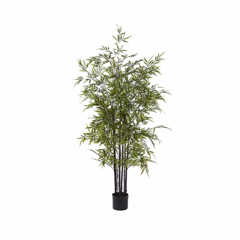 BAMBOO CON VASO H.150