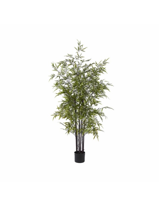 BAMBOO CON VASO H.150